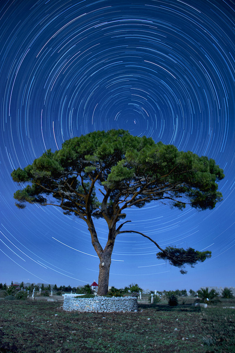 03-startrailAlbero