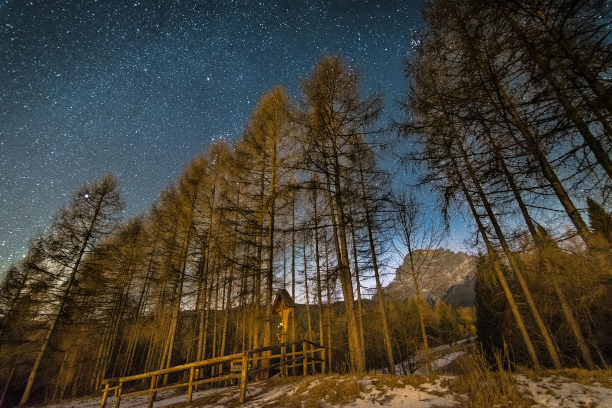 Orione tra gli alberi