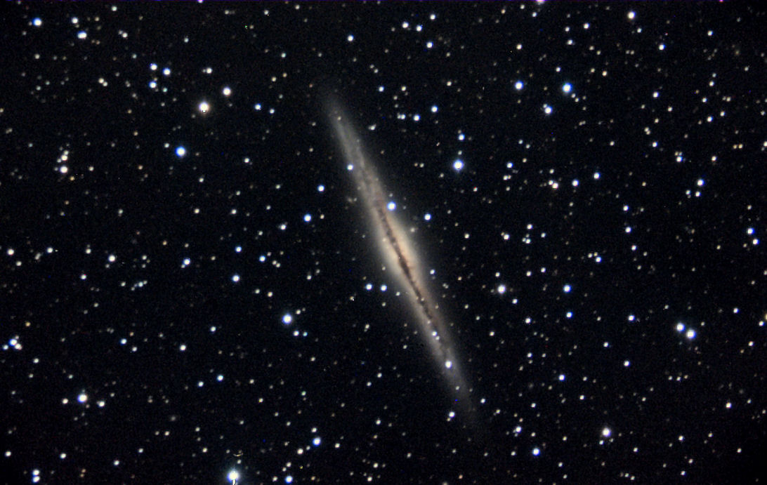 G_NGC0891