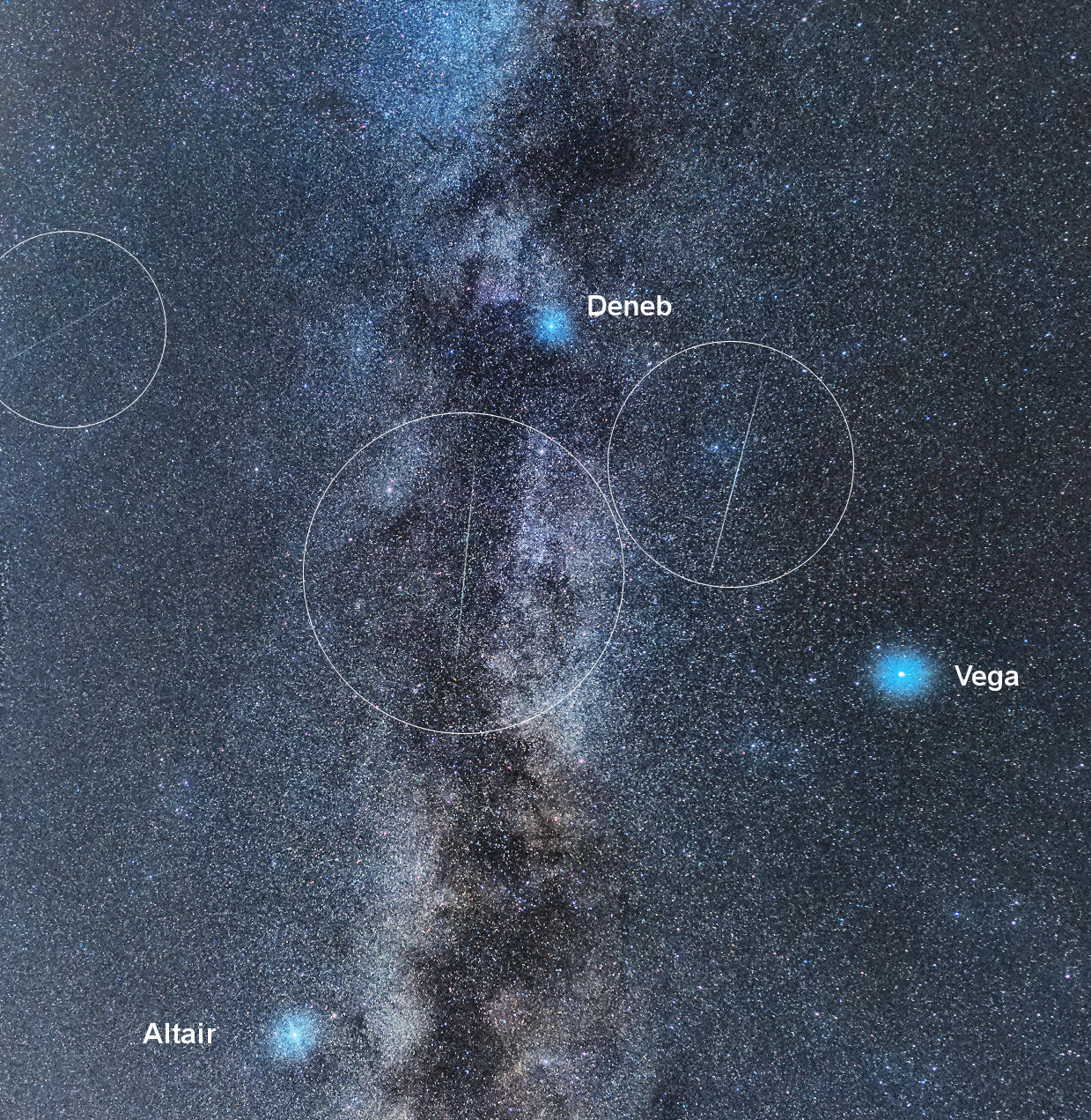 Via Lattea e Perseidi (particolare)