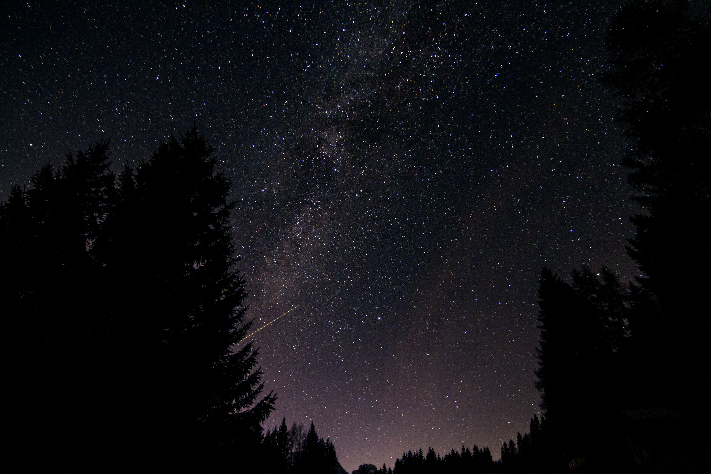 Via Lattea tra gli alberi