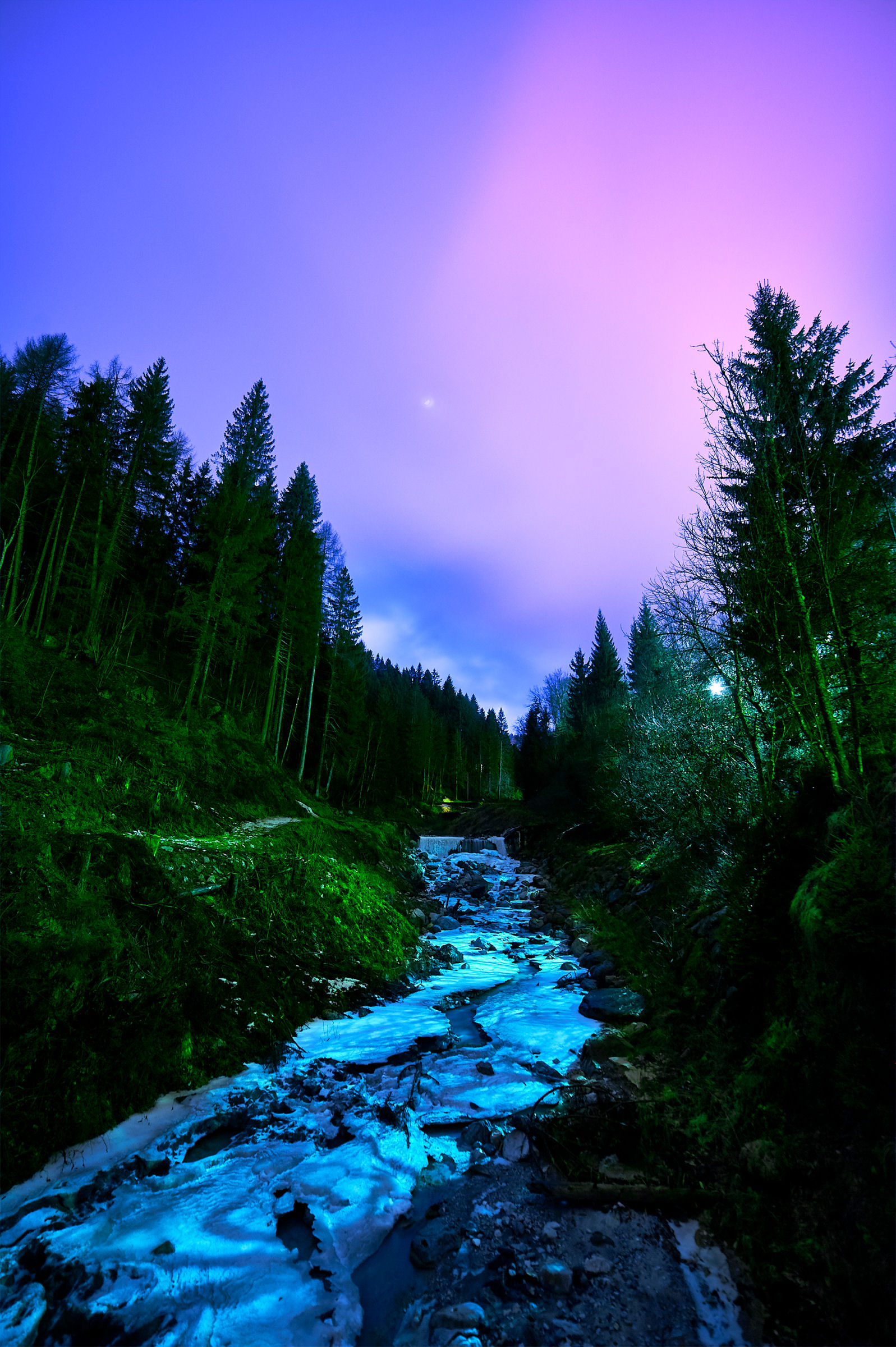 La Luna nel bosco con fiume
