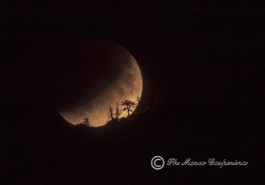 eclisse parziale Luna - M.Gasperina